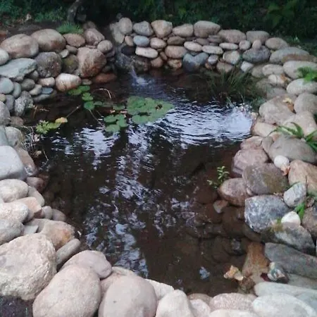 Villa Casa Do Adro-passadicos Do Paiva