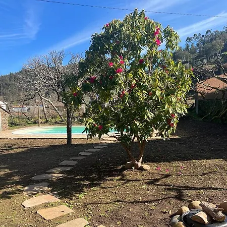 Casa Do Adro-passadicos Do Paiva *