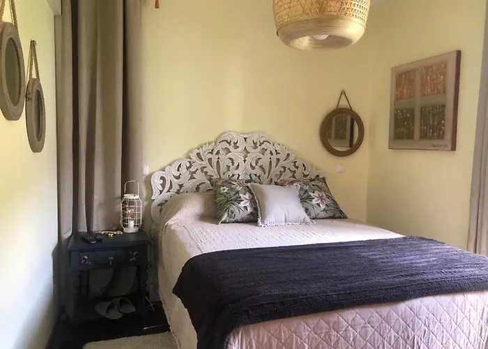 Casa Do Adro-passadicos Do Paiva Villa *