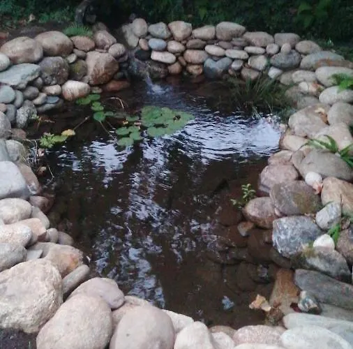 Villa Casa Do Adro-passadicos Do Paiva